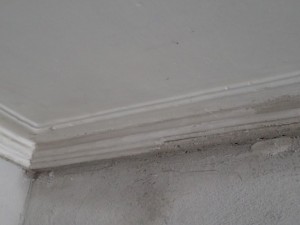 P4240076_800x600